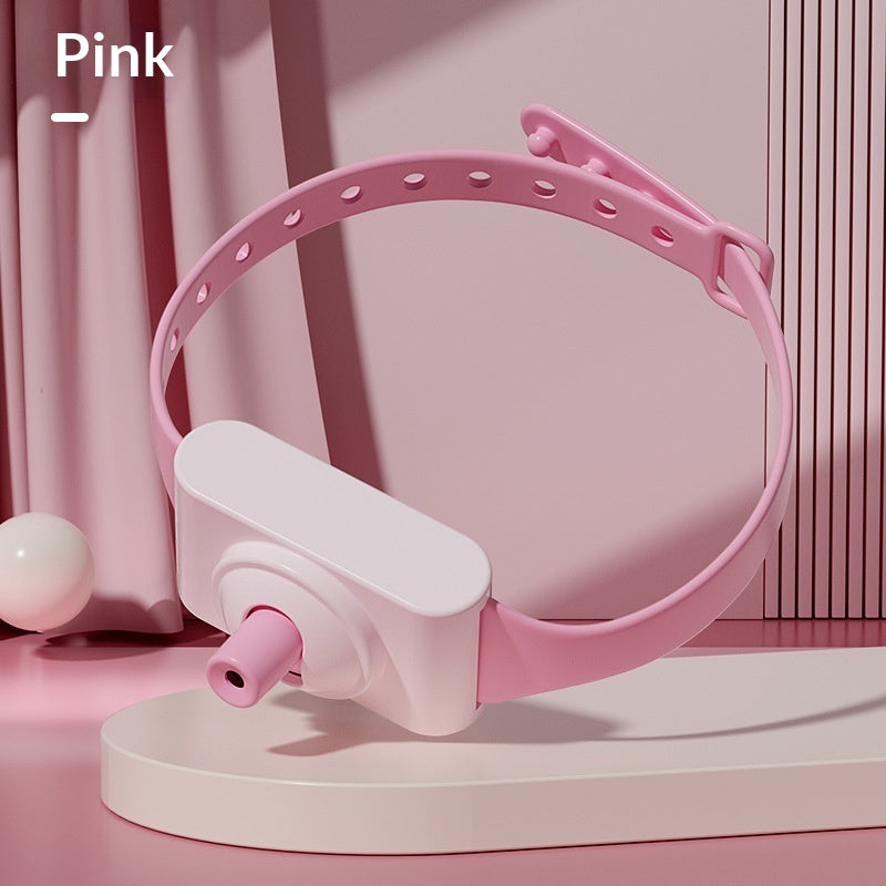 Cross-border New Product Laser Pet Collar With Toy Features
