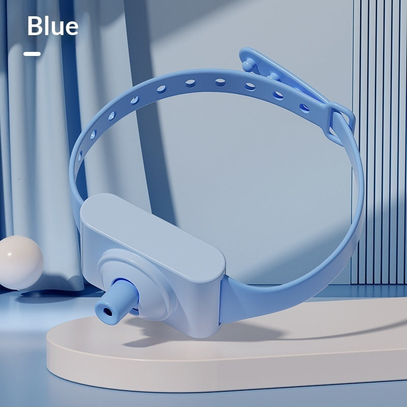 Cross-border New Product Laser Pet Collar With Toy Features
